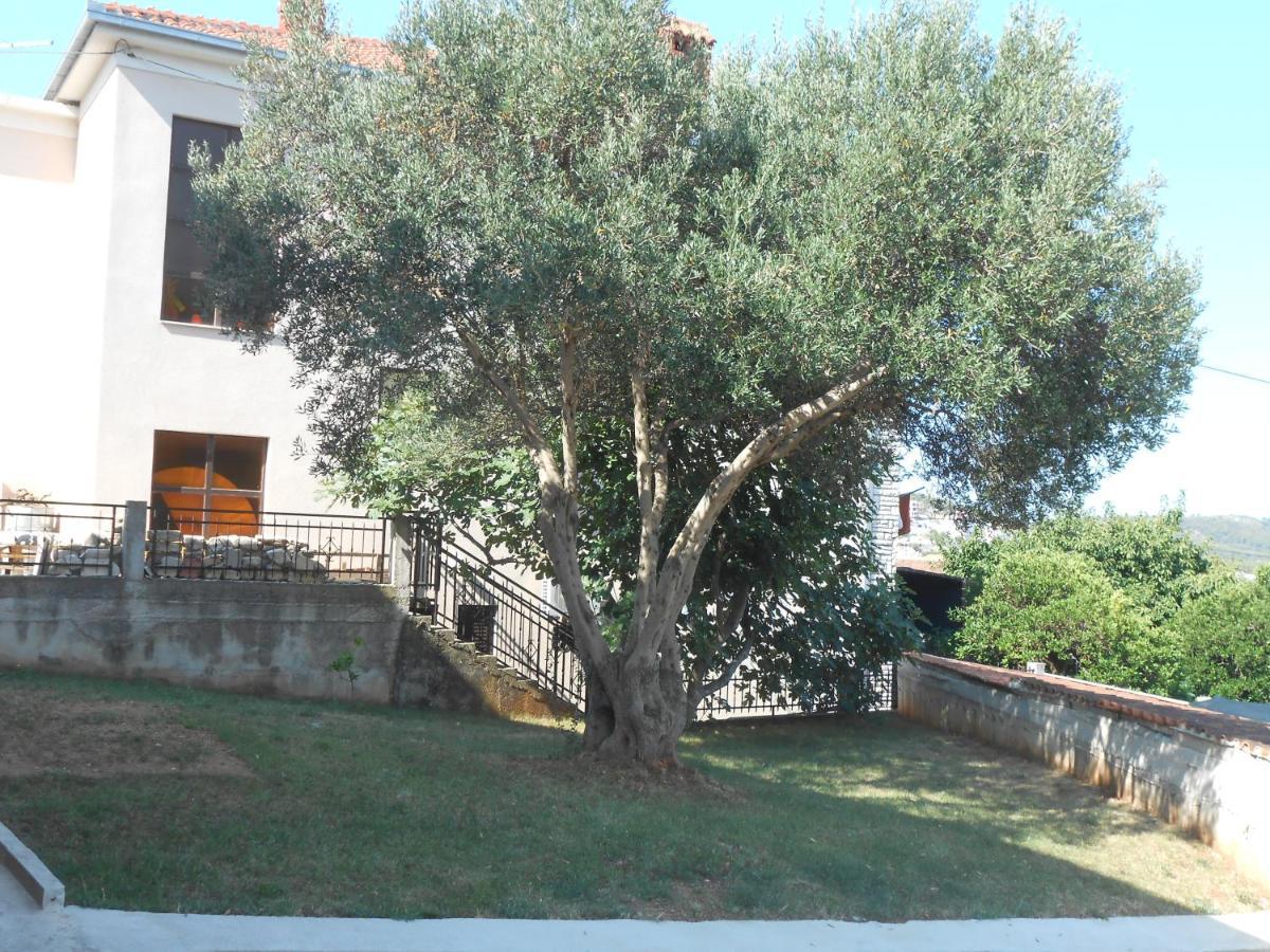 Apartments With A Parking Space Okrug Gornji, Ciovo - 13859 トロギール エクステリア 写真